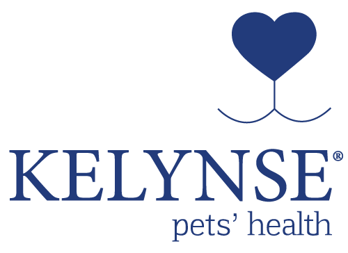 kelynse Kelynse